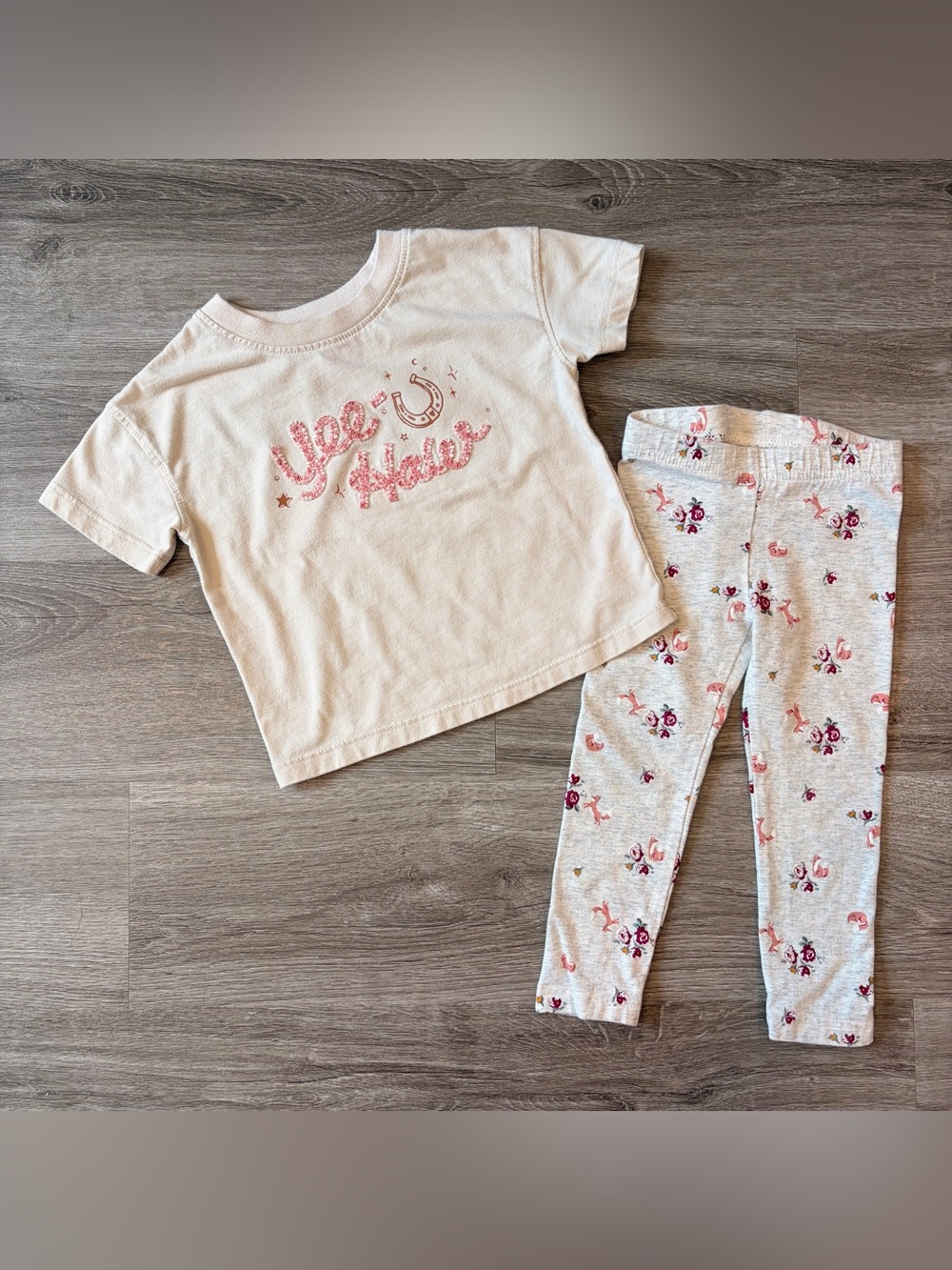 Cat & Jack/Carter's toddler girls outfit